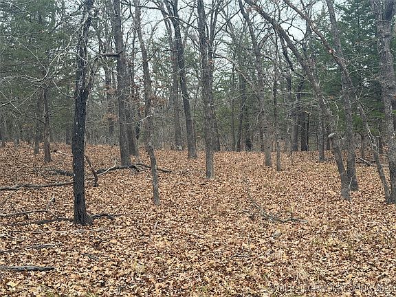 5th image of 1 County Road 1485