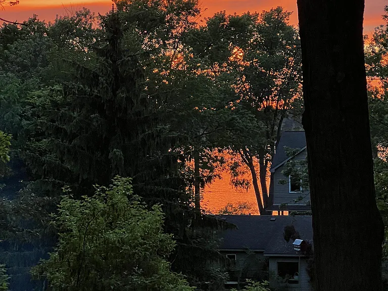 Summer patio view