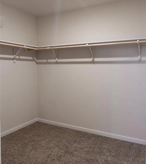 401 Abbey Ln — Photo 12
