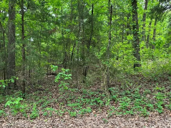 County Road 2618, Pittsburg, TX 75686