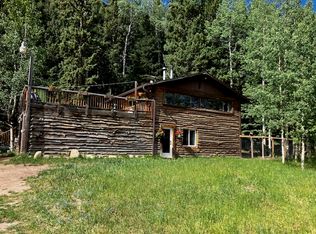 79 Beaver Creek Dr #1, Nederland, CO 80466