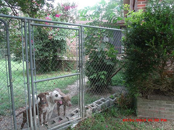 5th image of 681 Seawright St