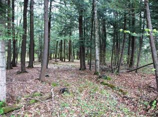 Vanderwerken Rd, Sloansville, NY 12160