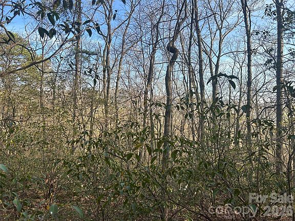 4th image of 301 Cardinal Rd