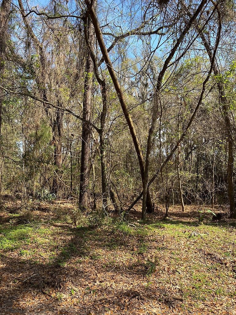 477 Big Oak Rd, Riceboro, GA 31323 MLS 153848 Zillow