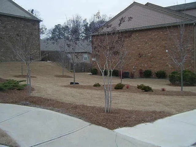 3 bed, 2.5 bath, 1818 sqft, $2,300 — Photo 3