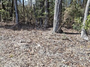 0 County Line Rd, Ravenel, SC 29470