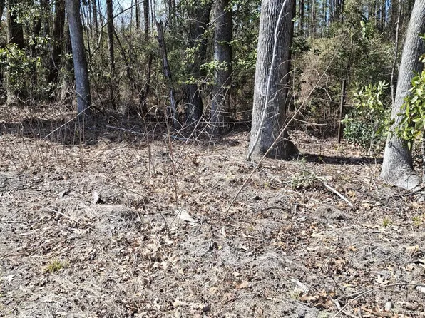 0 County Line Rd, Ravenel, SC 29470