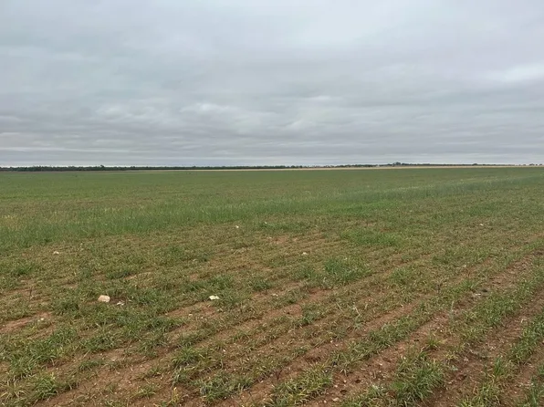 Fm 126 Tr Merkel #2, Merkel, TX 79536