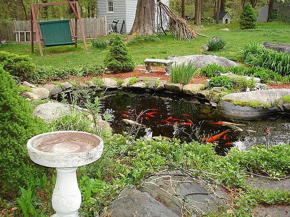 Gorgeous koi pond