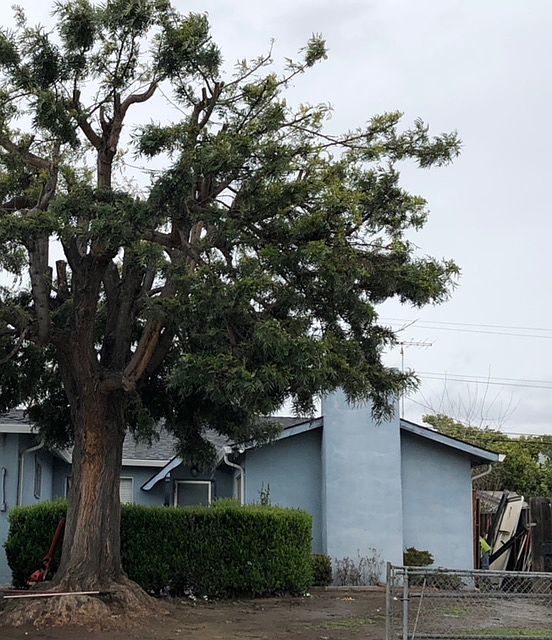 1st image of 2660 Brahms Ave