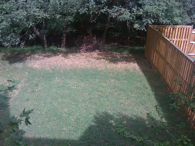 13671 Cedar Creek Ln — Photo 10