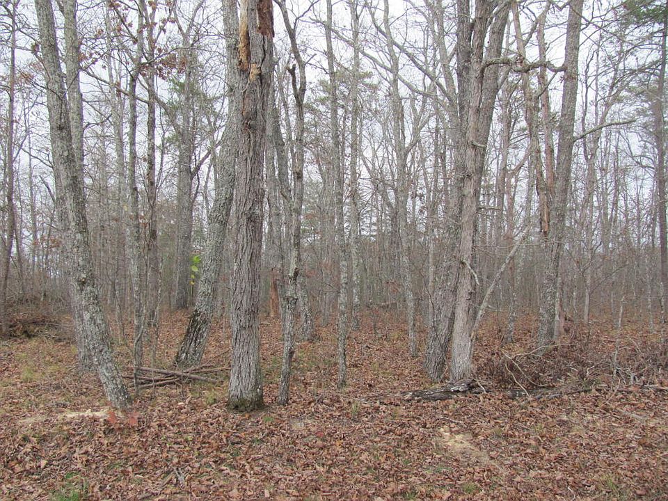 2nd image of 19 Arden Pl
