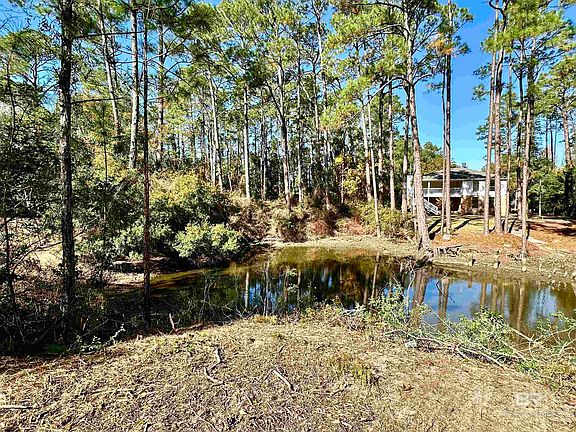 3rd image of 40707 Canal Cir #53
