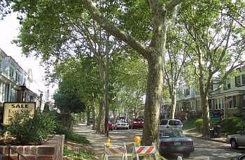 2nd image of 4135 Stirling St