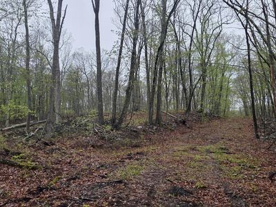 1 White Birch Ln, Hawley, PA, 18428