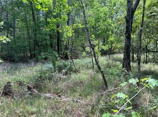 State Highway 1039, Holden, LA 70744