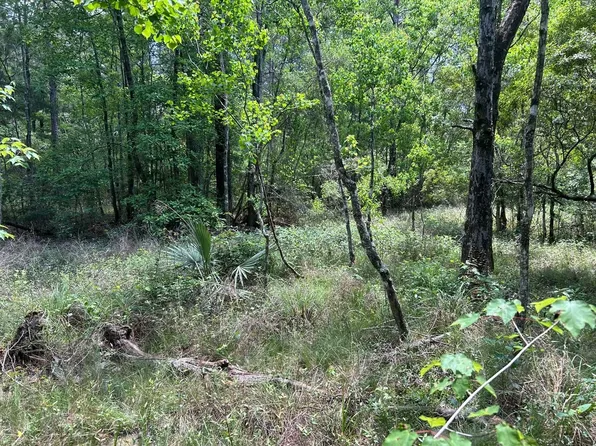 State Highway 1039, Holden, LA 70744