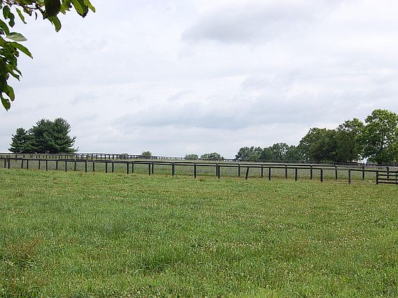 3rd image of 3435 Pegasus Ln