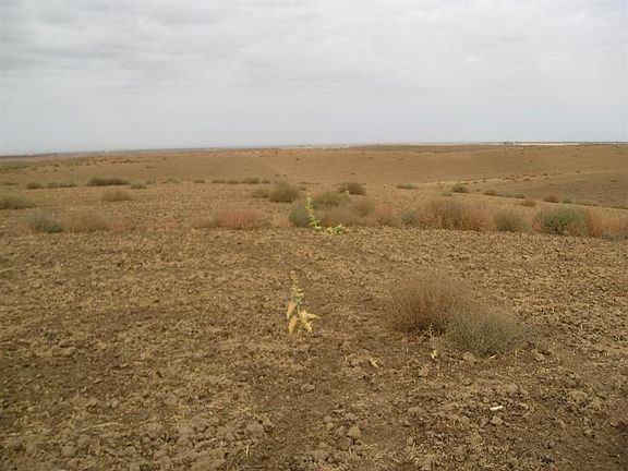 2nd image of 0 Ave 24