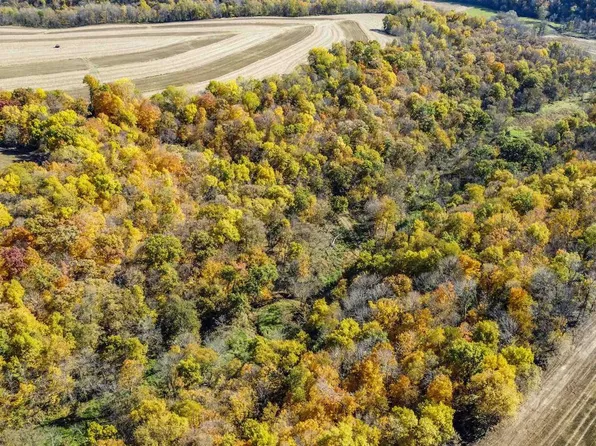 +/- 55 Acres Porter Hill Road, Lancaster, WI 53813