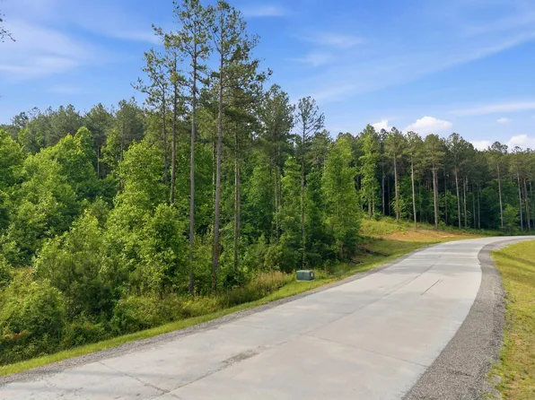 0 Birds Eye Way #1099, Guild, TN 37340