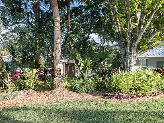 Privacy Tropical Landscape