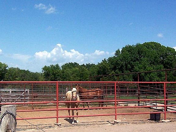 Pipe fenced turn outs