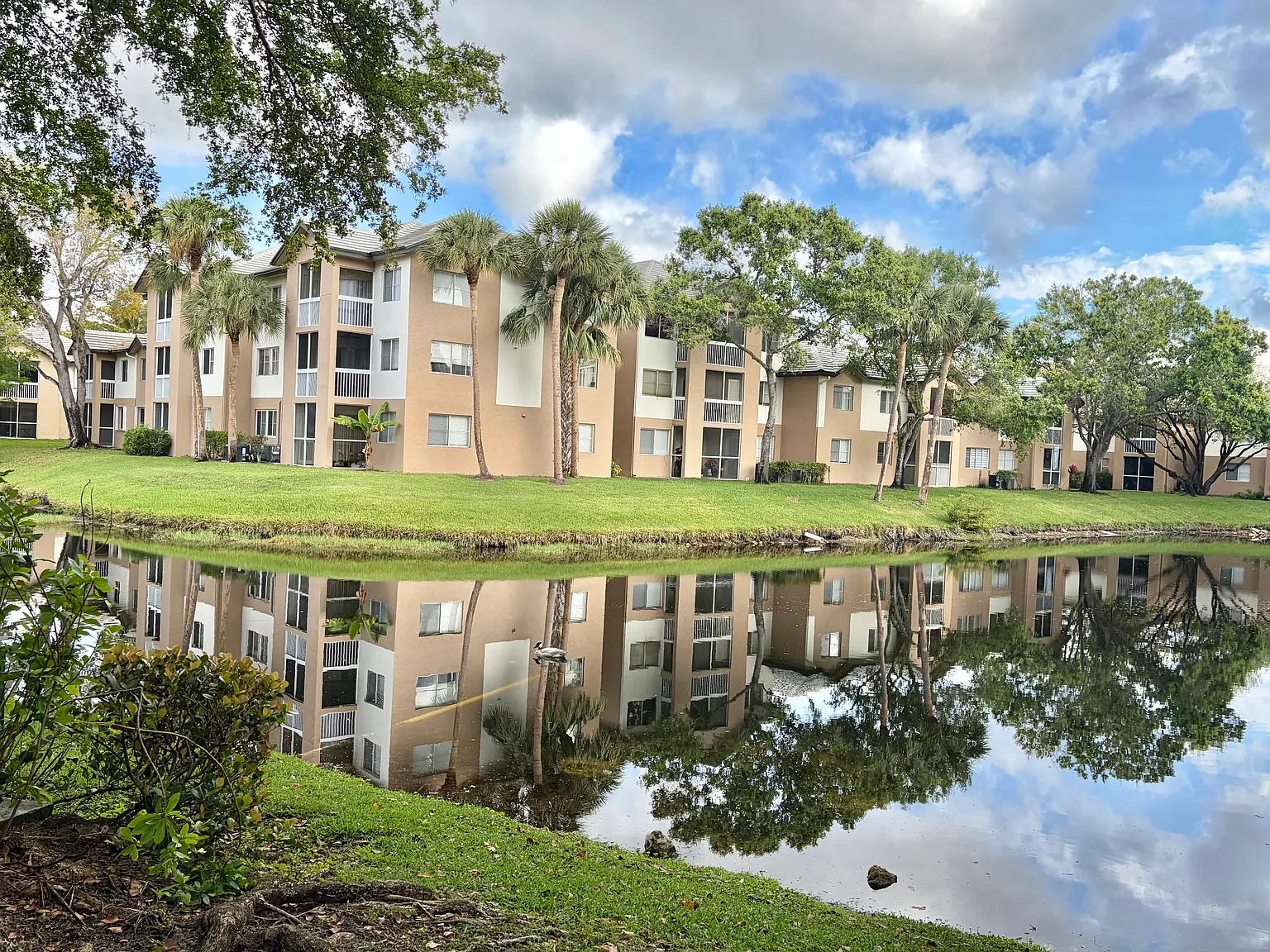 2 bed, 1000 sqft, $2,300 — Photo 3