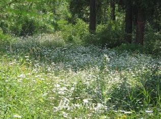 1st Creek Rd, Curlew, WA 99118