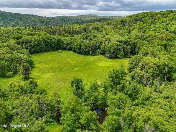 0 Schillings Crossing Road, Canaan, NY 12029