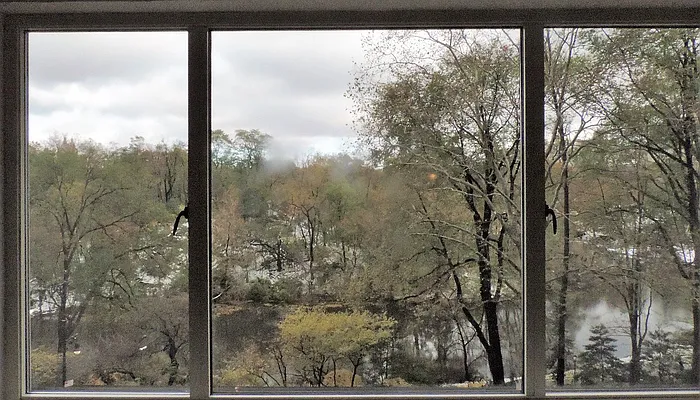 Rented by essential NEW YORK Real Estate | media 5