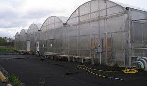 1st image of 5501 E Parks Ln