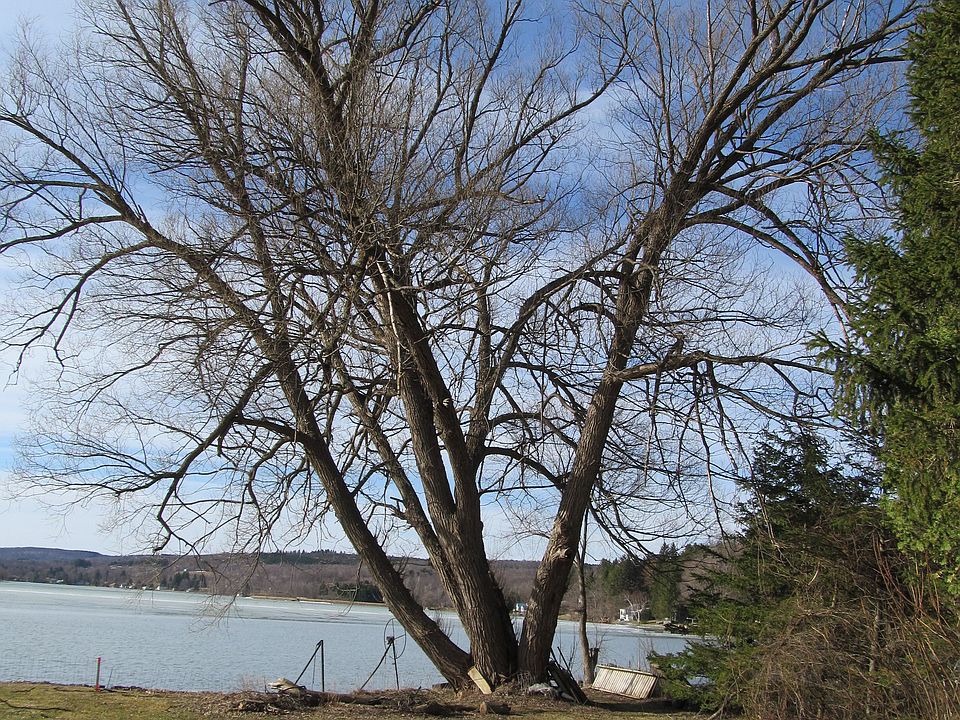 Early spring lake lot photo