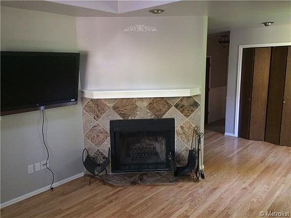 Wood-burning fireplace