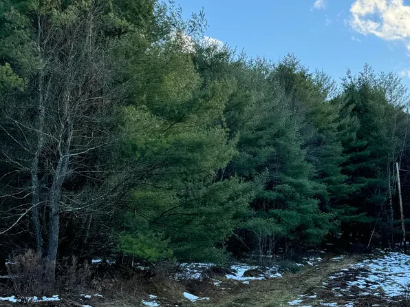 0 Woodland Rd, Brackney, PA 18812