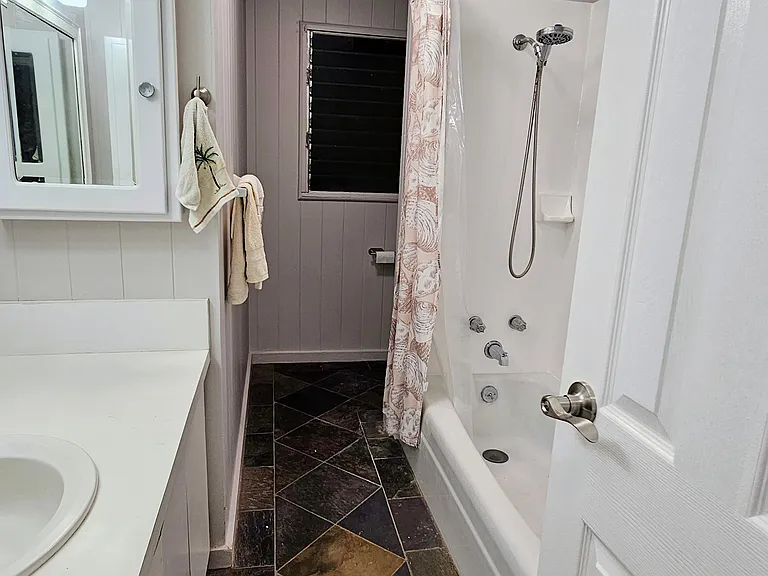 455 Manono St — Photo 9