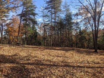 0 The Village Of Dale Holw #12, Burkesville, KY, 42717