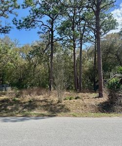 SE 99th Ter Lot 48, Belleview, FL, 34420