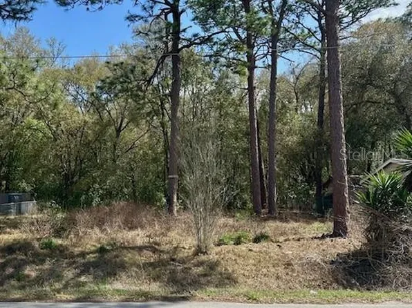 SE 99th Ter Lot 48, Belleview, FL 34420