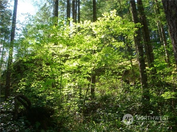 16 WS1 Blk 3 Lot 16B, Hoodsport, WA 98548