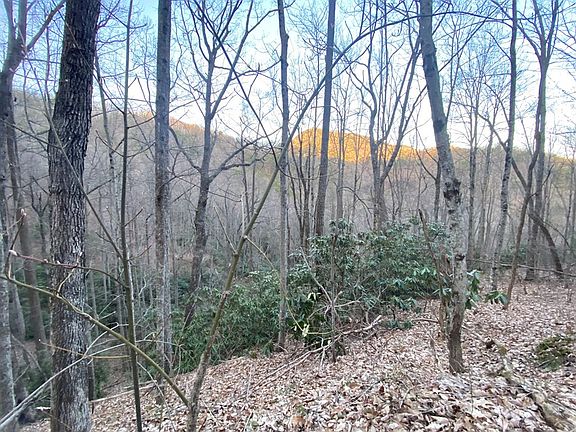 5th image of LOT 32 Beechwood Ln