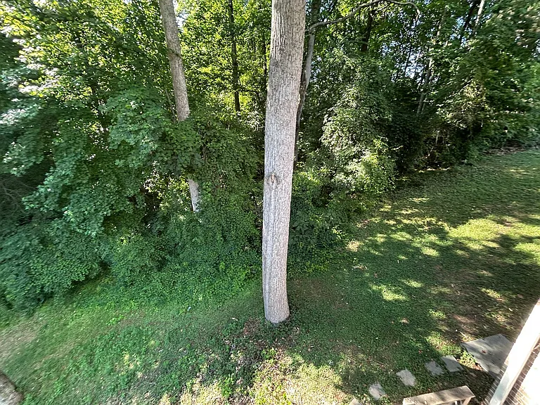 4540 Pebble Lake Dr — Photo 75