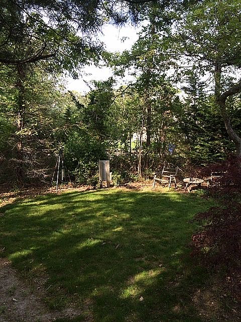 Front yard, woods