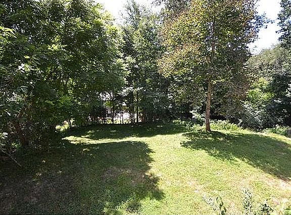 Parklike lower level yard