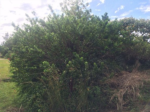 2nd image of E Moanalui Loop Lot 25