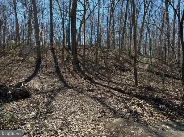 PARCEL 3 Sumantown Rd, Middletown, MD 21769