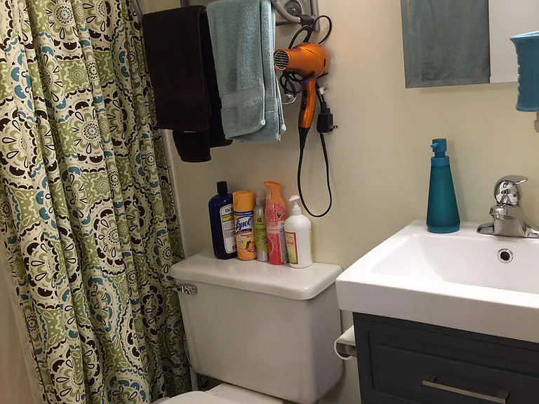1750 W Belle Plaine Ave #1 — Photo 10