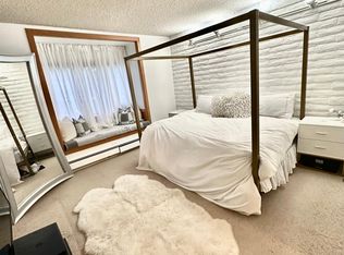331 Vine St #331, Aspen, CO 81611