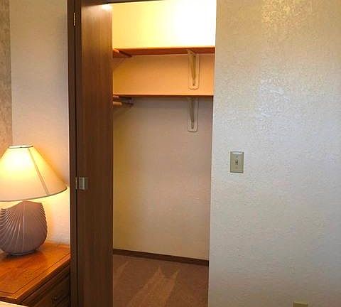Walk-in Closet